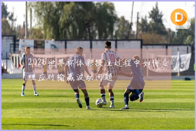 2026世界杯体彩投注过程中如何合理应对输赢波动问题