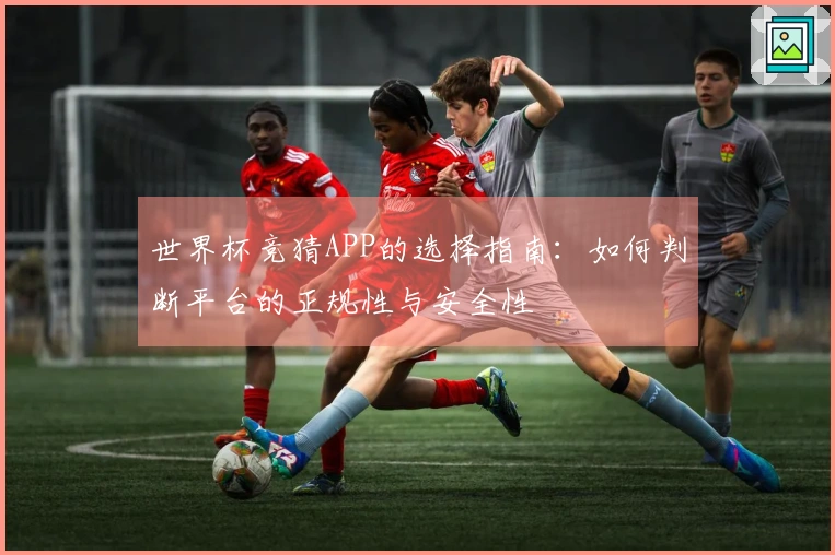 世界杯竞猜APP的选择指南：如何判断平台的正规性与安全性
