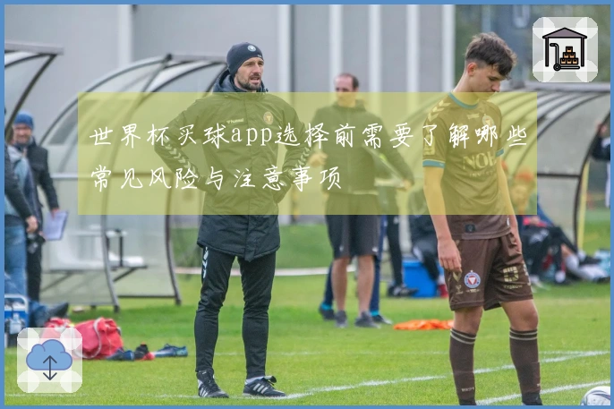 世界杯买球app选择前需要了解哪些常见风险与注意事项