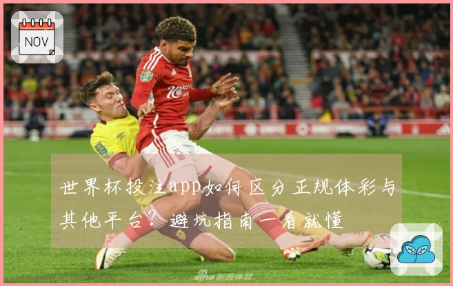 世界杯投注app如何区分正规体彩与其他平台？避坑指南一看就懂