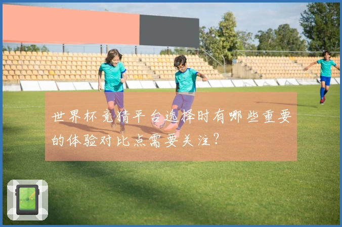 世界杯竞猜平台选择时有哪些重要的体验对比点需要关注？