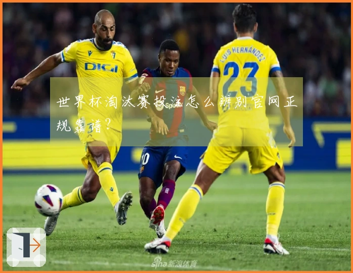 世界杯淘汰赛投注怎么辨别官网正规靠谱？