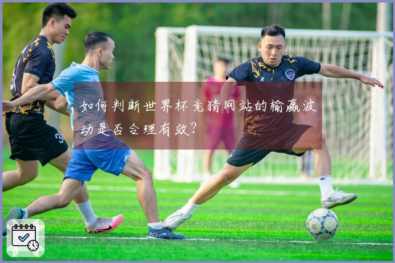 如何判断世界杯竞猜网站的输赢波动是否合理有效？
