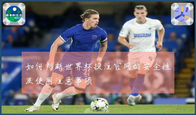 如何判断世界杯投注官网的安全性及使用注意事项