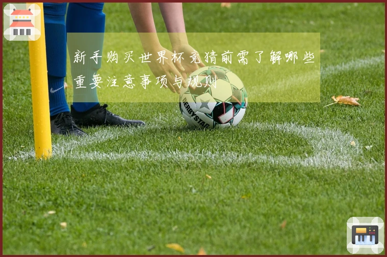 新手购买世界杯竞猜前需了解哪些重要注意事项与规则
