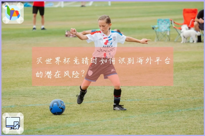 买世界杯竞猜时如何识别海外平台的潜在风险？