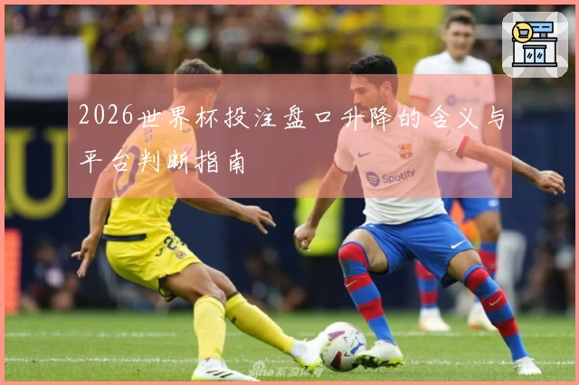 2026世界杯投注盘口升降的含义与平台判断指南