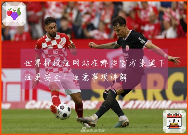 世界杯投注网站在哪些官方渠道下注更安全？注意事项详解