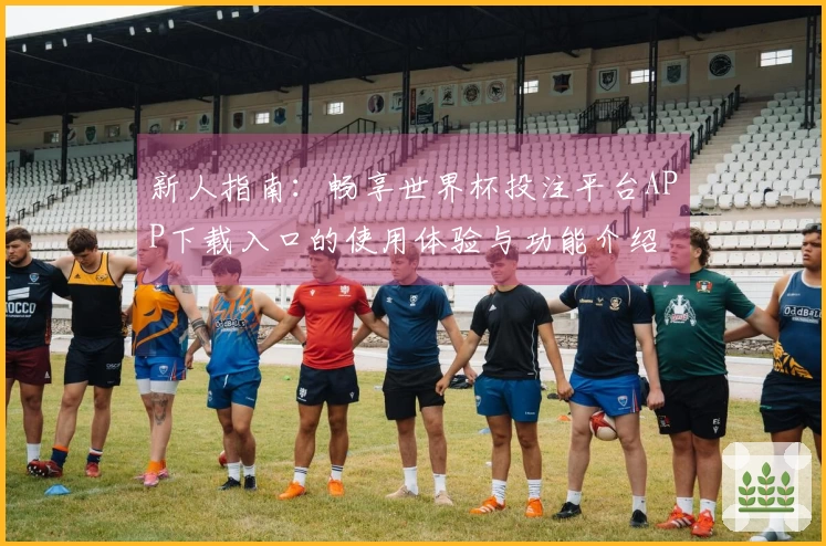 新人指南：畅享世界杯投注平台APP下载入口的使用体验与功能介绍