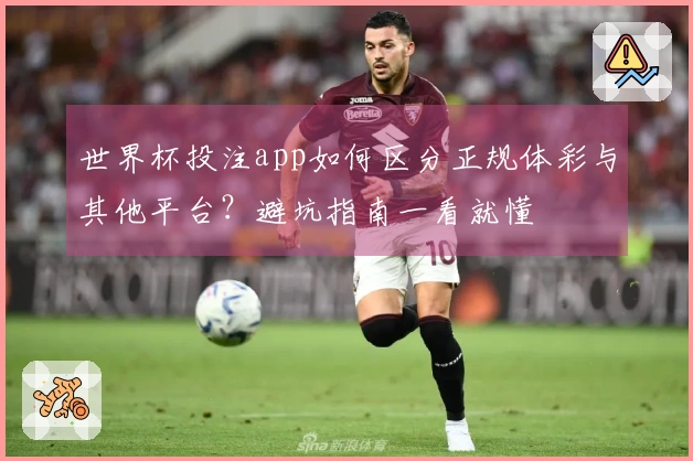 世界杯投注app如何区分正规体彩与其他平台？避坑指南一看就懂