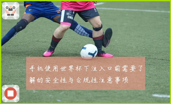 手机使用世界杯下注入口前需要了解的安全性与合规性注意事项