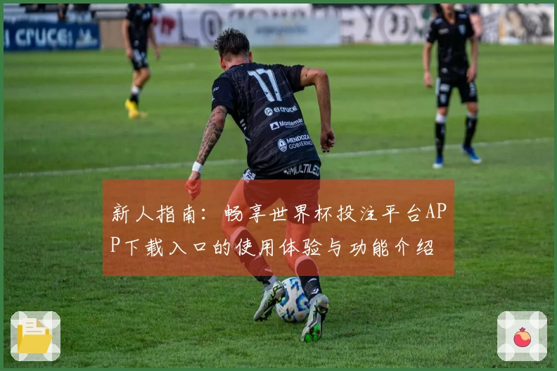 新人指南：畅享世界杯投注平台APP下载入口的使用体验与功能介绍