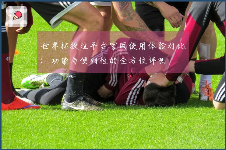 世界杯投注平台官网使用体验对比：功能与便利性的全方位评测