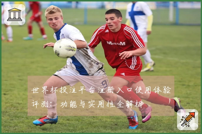 世界杯投注平台注册入口使用体验评测：功能与实用性全解析