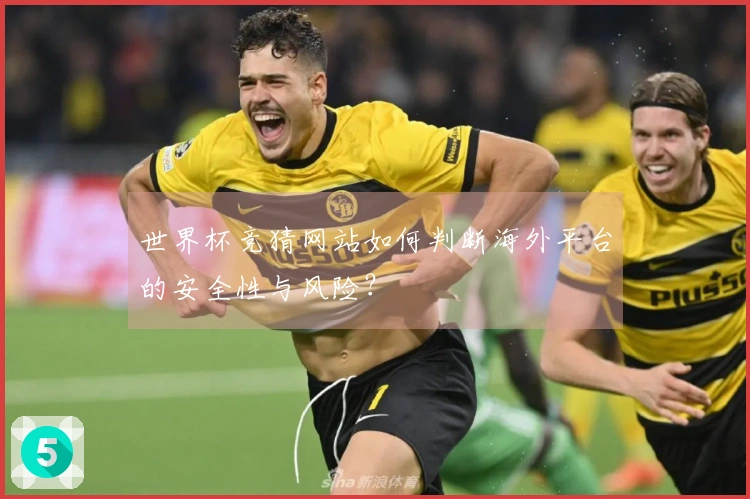 世界杯竞猜网站如何判断海外平台的安全性与风险？