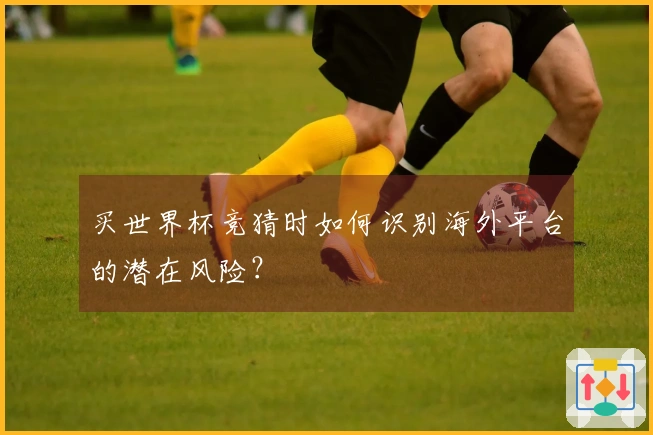 买世界杯竞猜时如何识别海外平台的潜在风险？