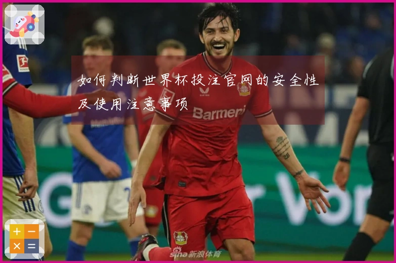 如何判断世界杯投注官网的安全性及使用注意事项