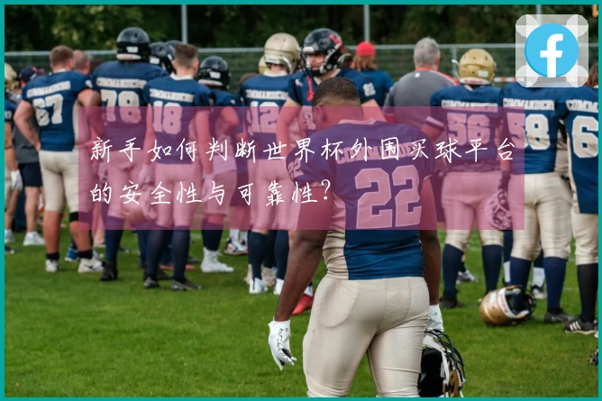 新手如何判断世界杯外围买球平台的安全性与可靠性？