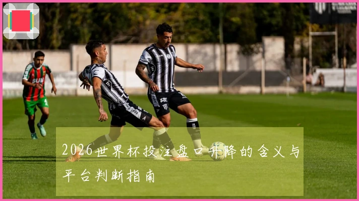 2026世界杯投注盘口升降的含义与平台判断指南